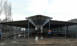 Söğüt Akçasu köyü fener çatılı açık besi barınağı