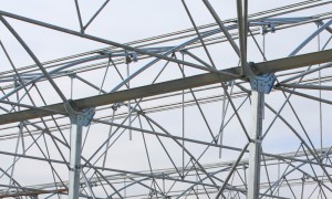 BEYPAZARI FİDE SERASI