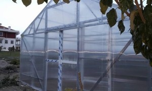 Policarbon Örtülü Hobi Serası