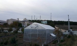 Policarbon Örtülü Hobi Serası