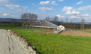 Eskişehir Sera Sistemleri