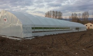 Eskişehir Sera Sistemleri