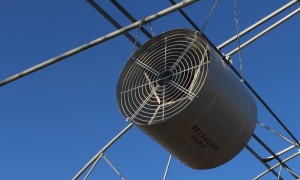 BEYPAZARI FİDE SERASI