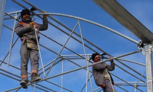 BEYPAZARI FİDE SERASI