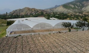 Eskişehir Sera Sistemleri